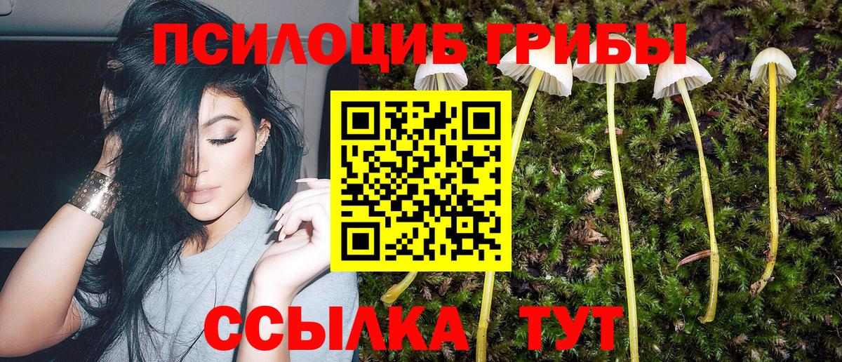 Галлюциногенные грибы мицелий Котлас