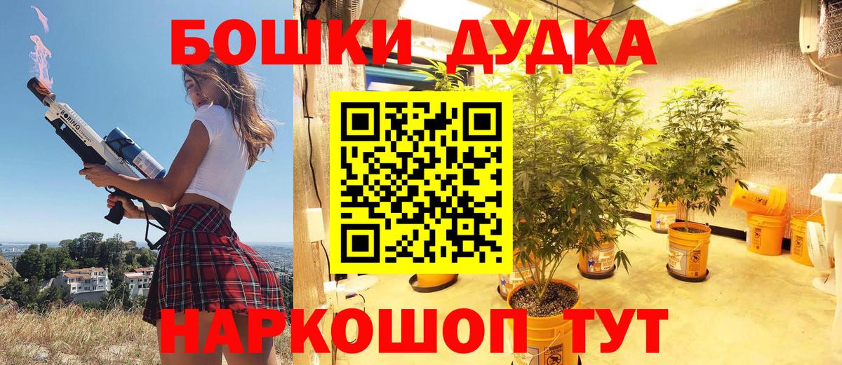 Конопля марихуана Котлас